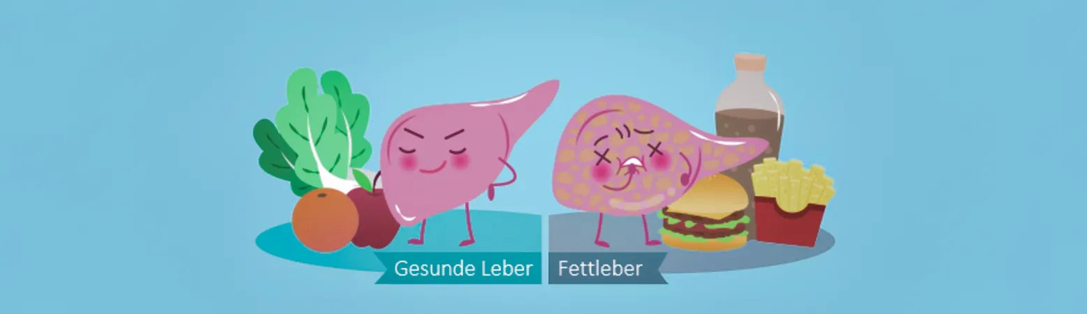 Gesunde Leber mit Gemüse und Obst, kranke Fettleber mit Fast Food – Symbolbild für Einfluss der Ernährung auf die Leber