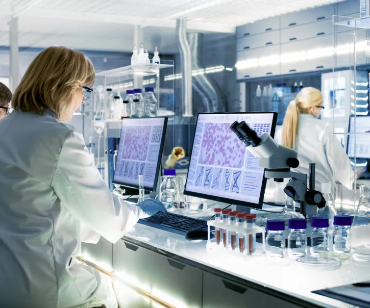 Forschende im Labor analysieren Proben zur Entwicklung von Lebertherapeutika gegen hepatische Enzephalopathie