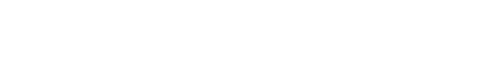 Leber-Info Logo